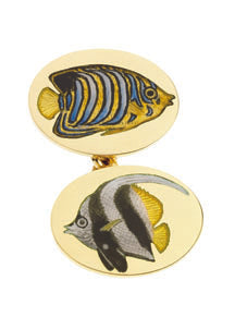 Regal Angelfish/Wimplefish 